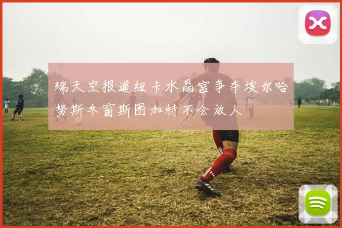 瑞天空报道纽卡水晶宫争夺埃尔哈努斯冬窗斯图加特不会放人