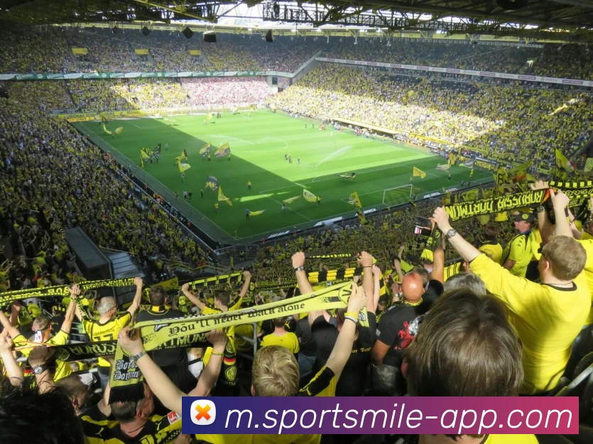 米乐体育服务体系